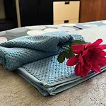 Casa A 4 Zampe Гориция