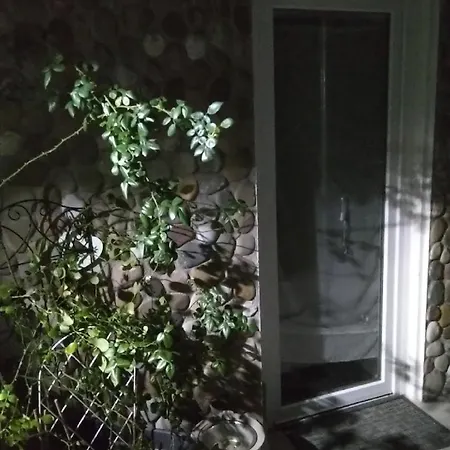 Casa A 4 Zampe