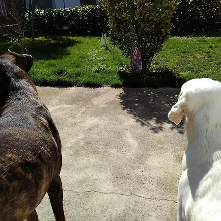 아파트 Casa A 4 Zampe