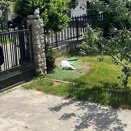 Casa A 4 Zampe Apartment