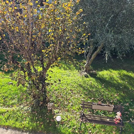 Casa A 4 Zampe * Gorycja