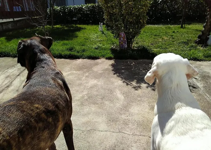 شقة Casa A 4 Zampe