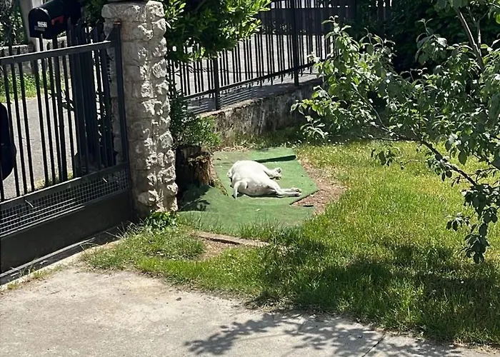 Casa A 4 Zampe شقة